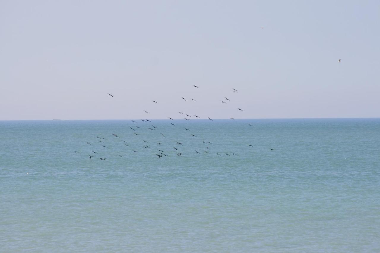A Cote De La Mer 얼트 외부 사진